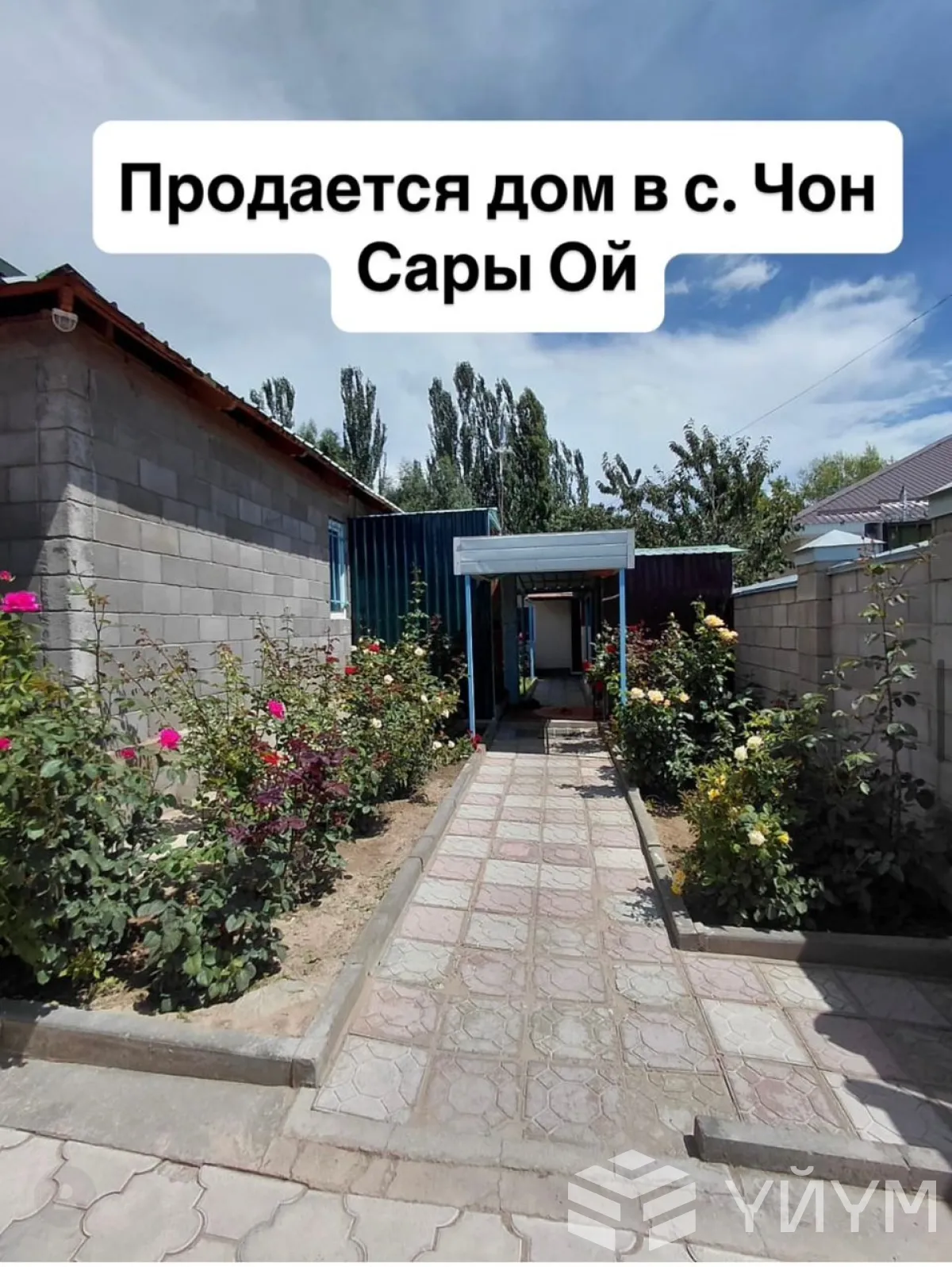 Кудайменде улица