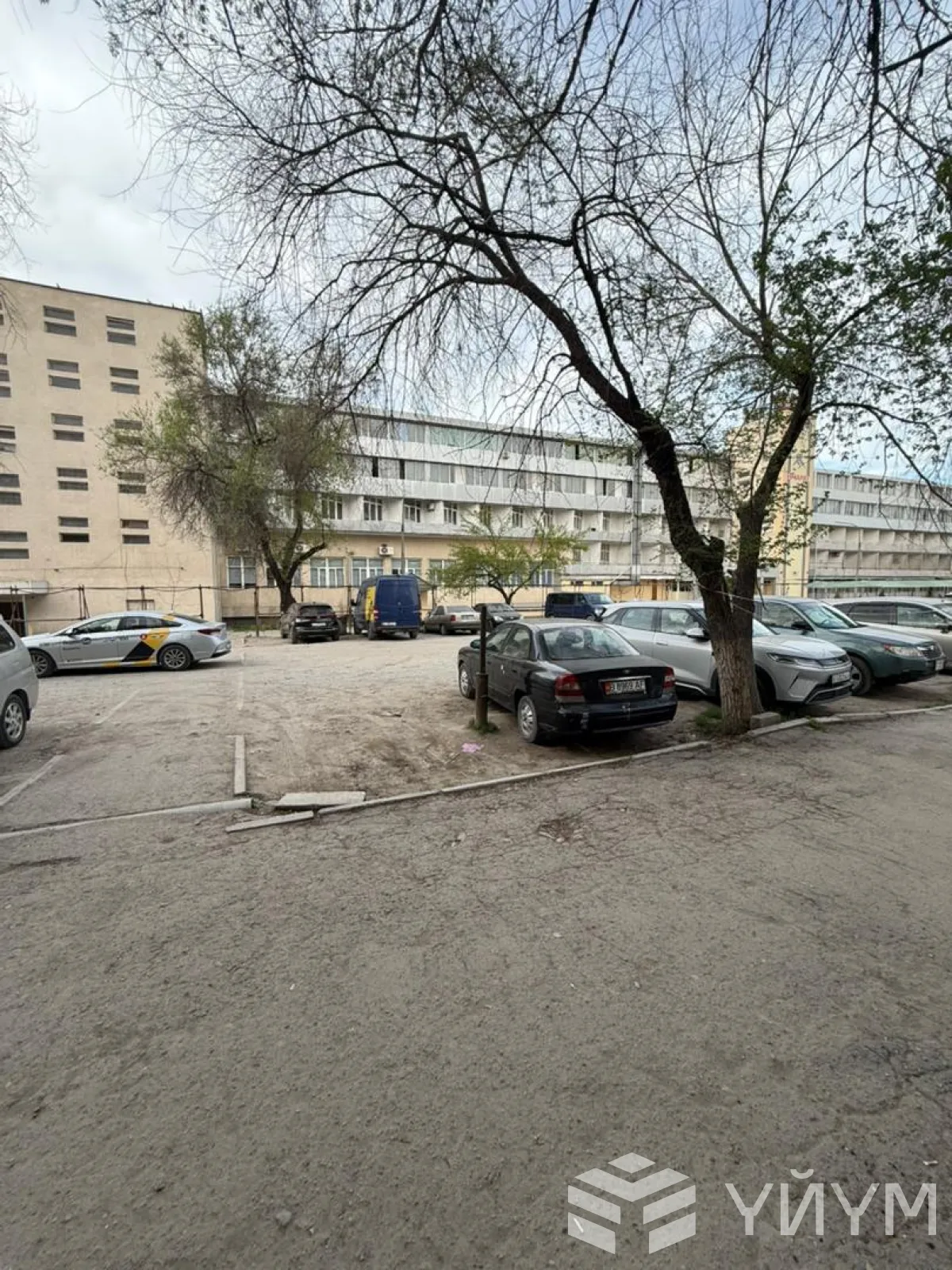 проспект Жибек Жолу
